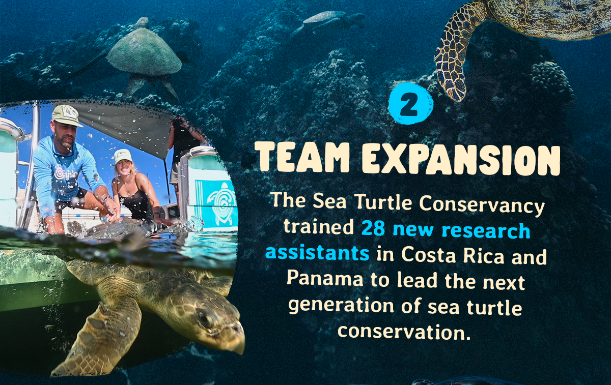 Team Expansion: We trained 28 new researchers