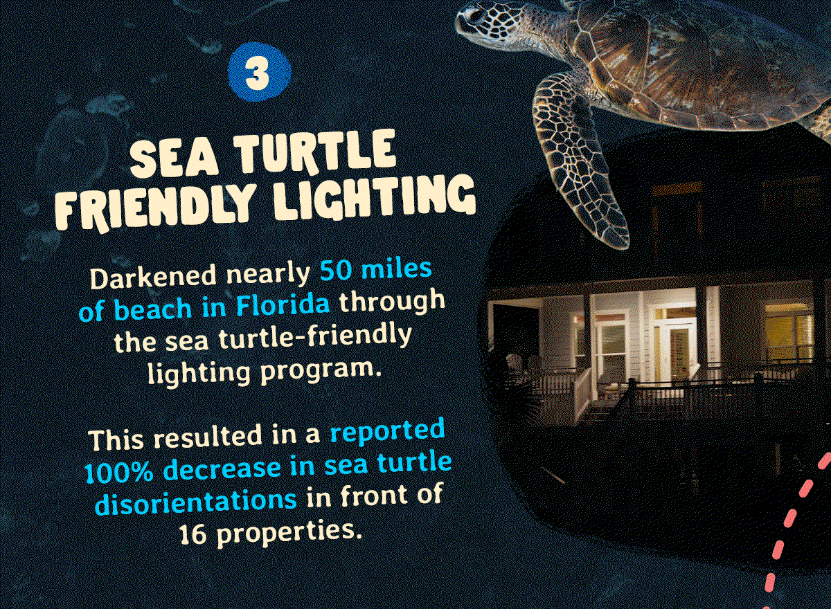 Sea Turtle Friendly Lighting