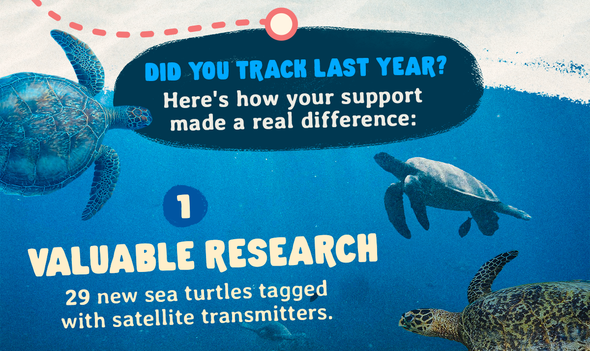 Did you track one last year? Here's how you made a difference
