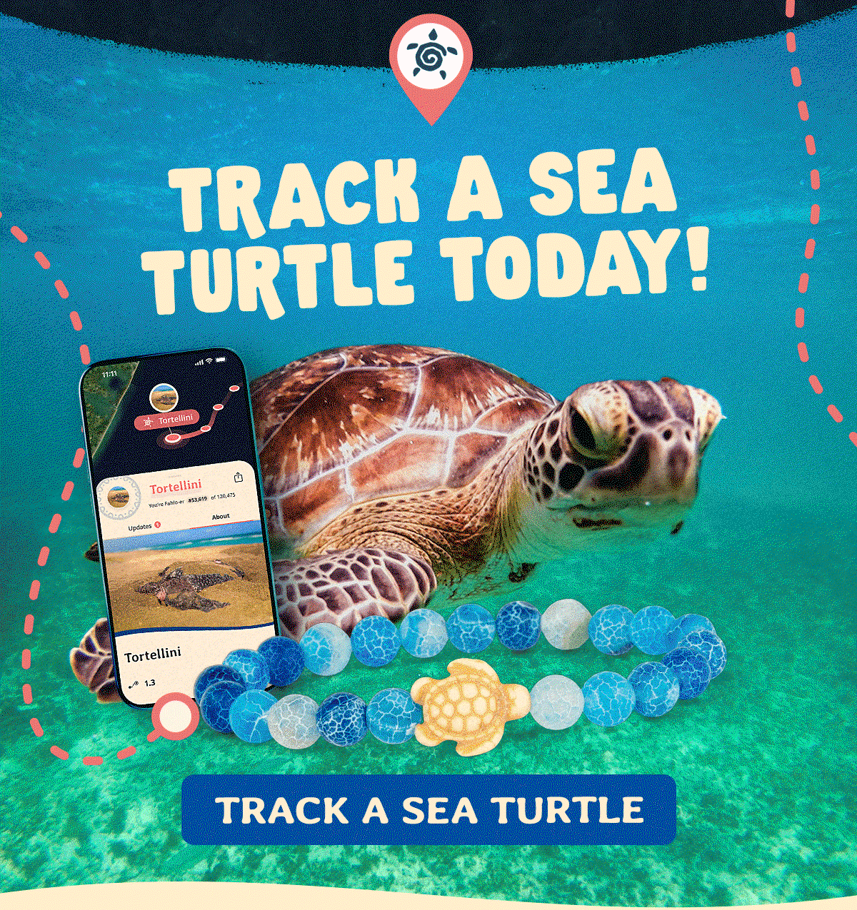 Track a sea turtle today!