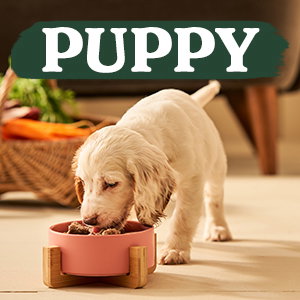 Puppy