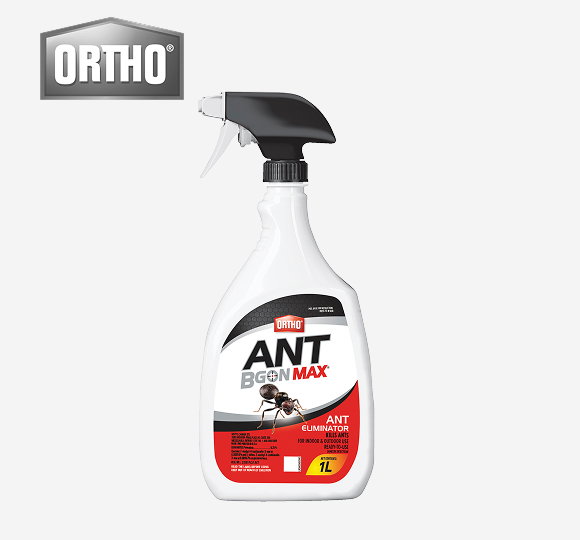 SAVE 20%* All ORTHO Insecticides