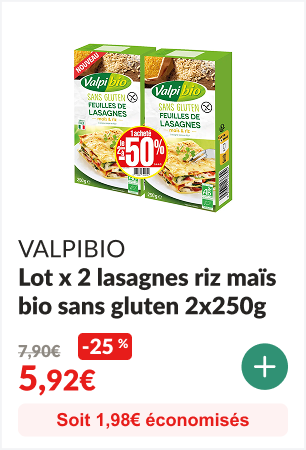-25% sur le Lot x 2 lasagnes riz maïs bio sans gluten 2x250g - VALPIBIO