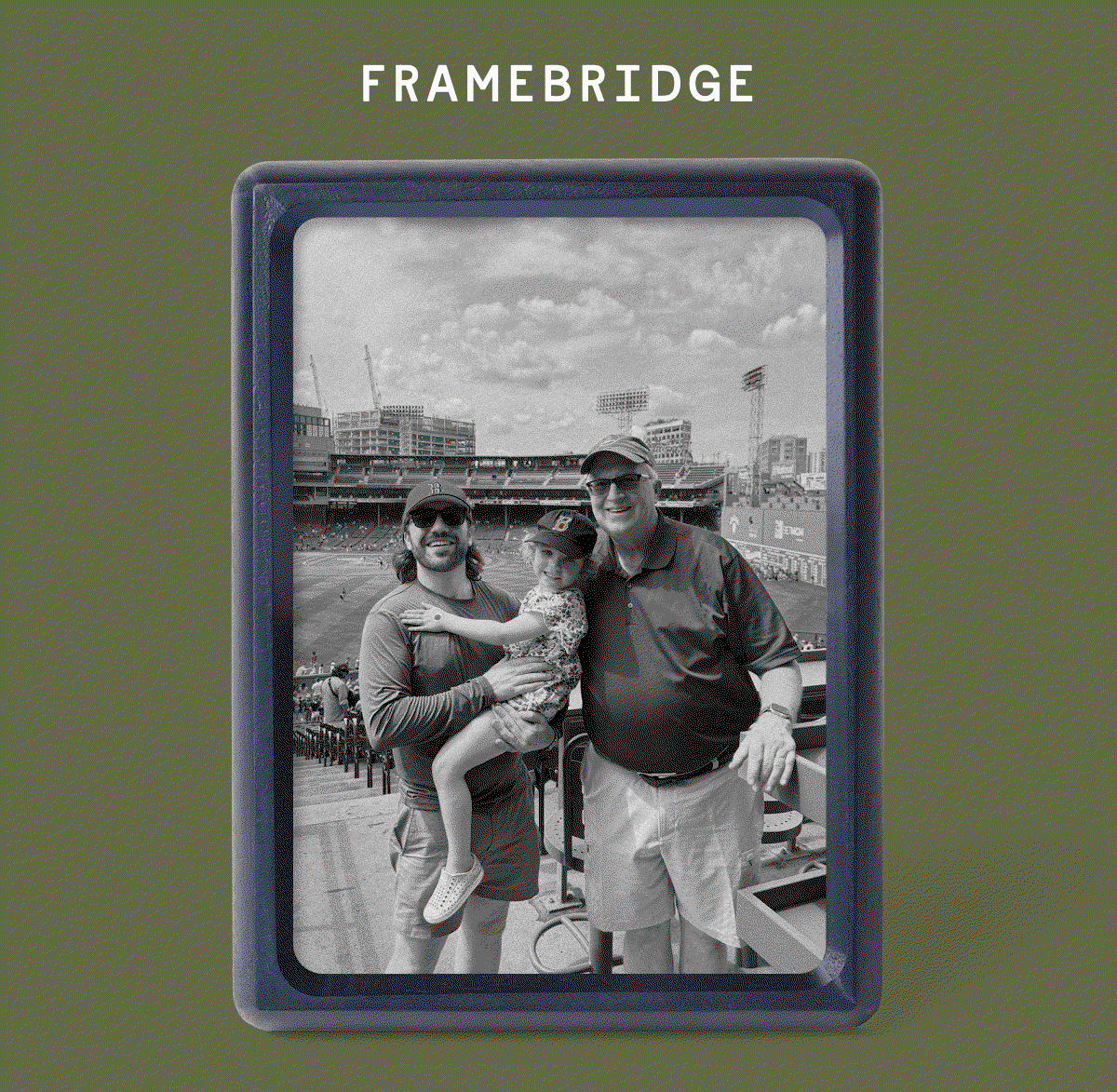 Indigo Solid hardwood frame