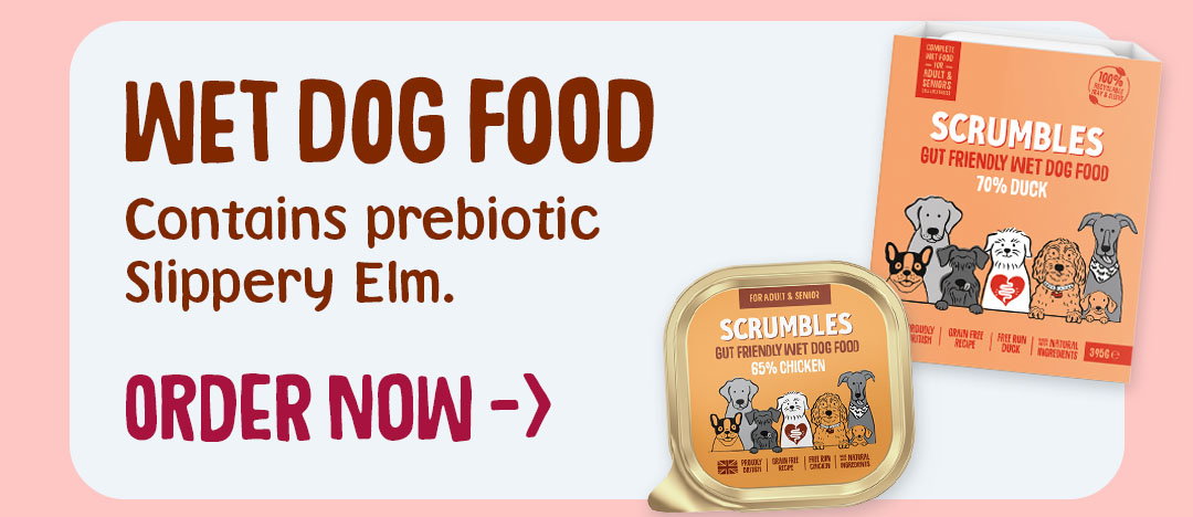 wet dog food