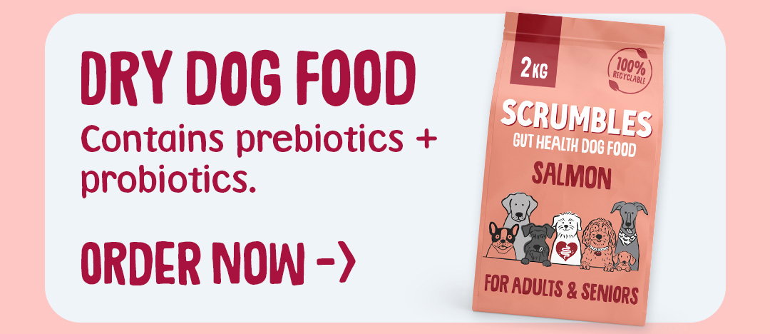 dry dog food