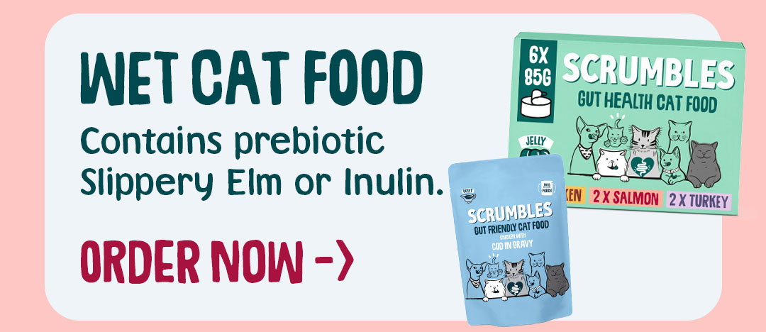 wet cat food