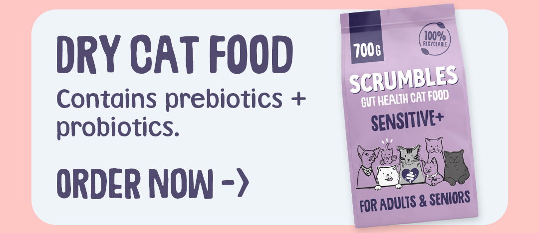 dry cat food