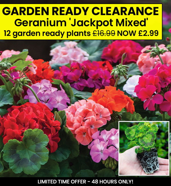 Garden Ready Mix & Match