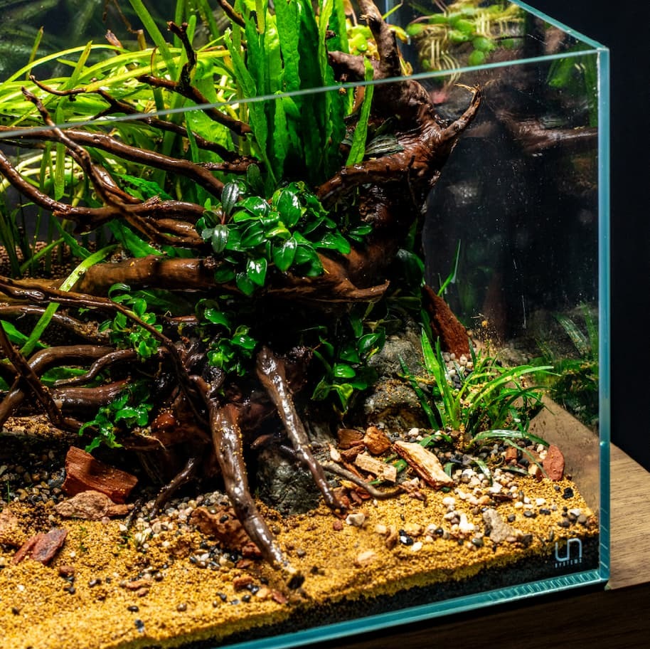 UNS Ultra Clear Rimless Tanks