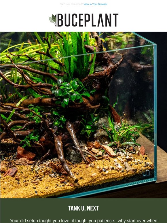 Thinking About a New Scape? Grab a Fresh Tank 👌