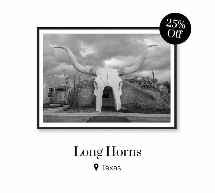 Long Horns