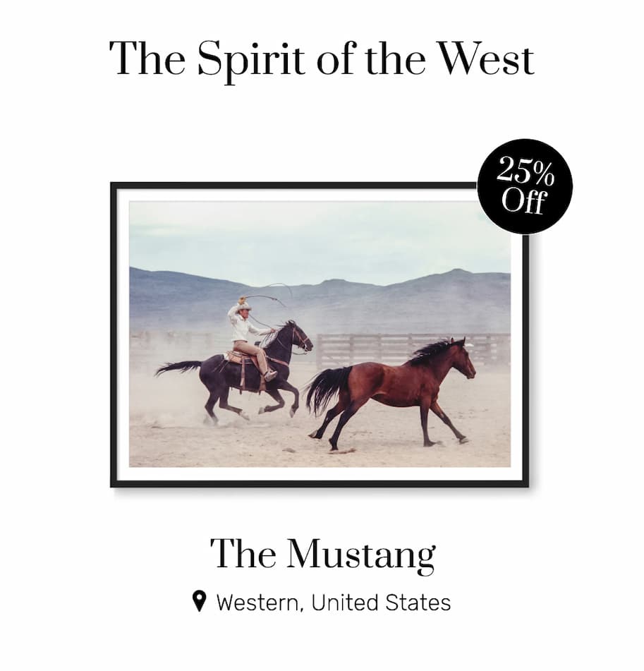 The Mustang