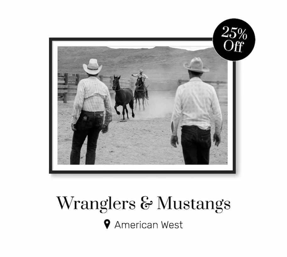 Wranglers & Mustangs