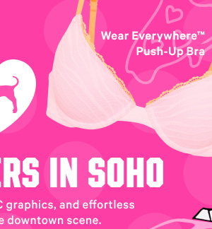 wear everywhere push up bra