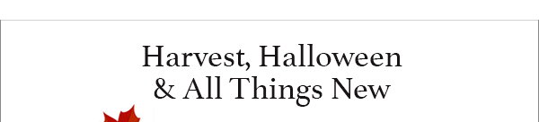 Harvest, Halloween & All Things New