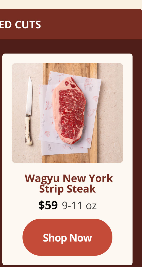 wagyu new york strip steak