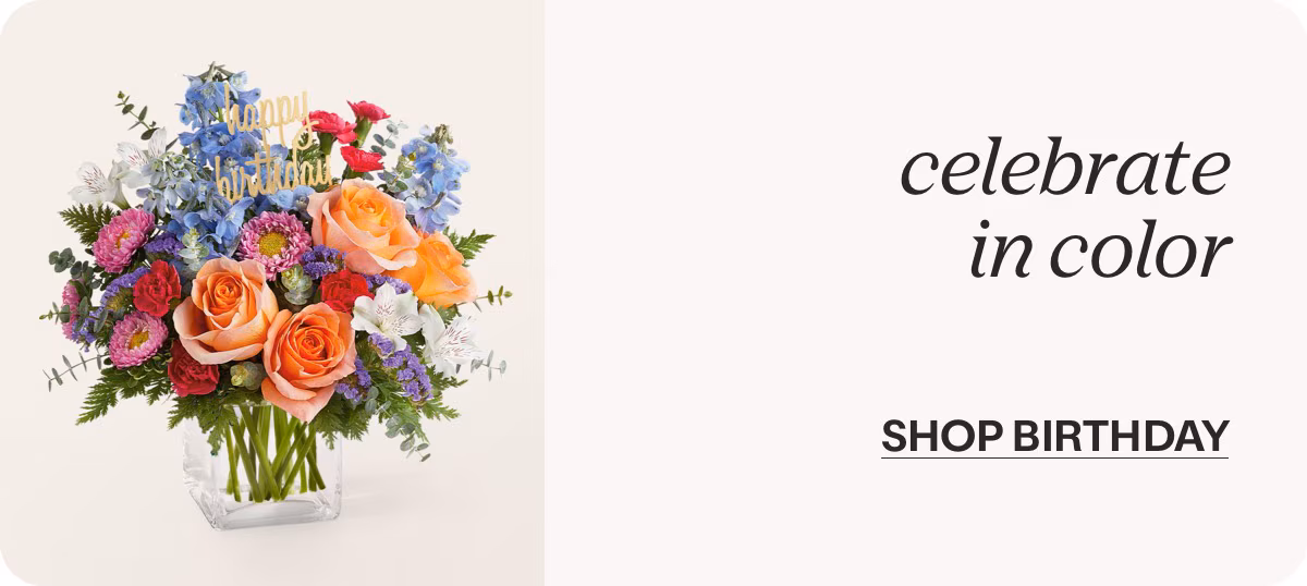 celebrate in color - SHOP BIRTHDAY »
