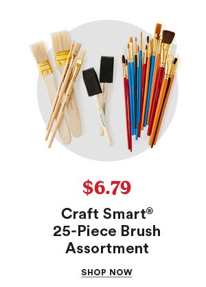 $6.79 Craft Smart® 25-Piece Brush Assortment Shop Now