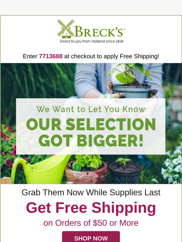 Can we entice you with free shipping?