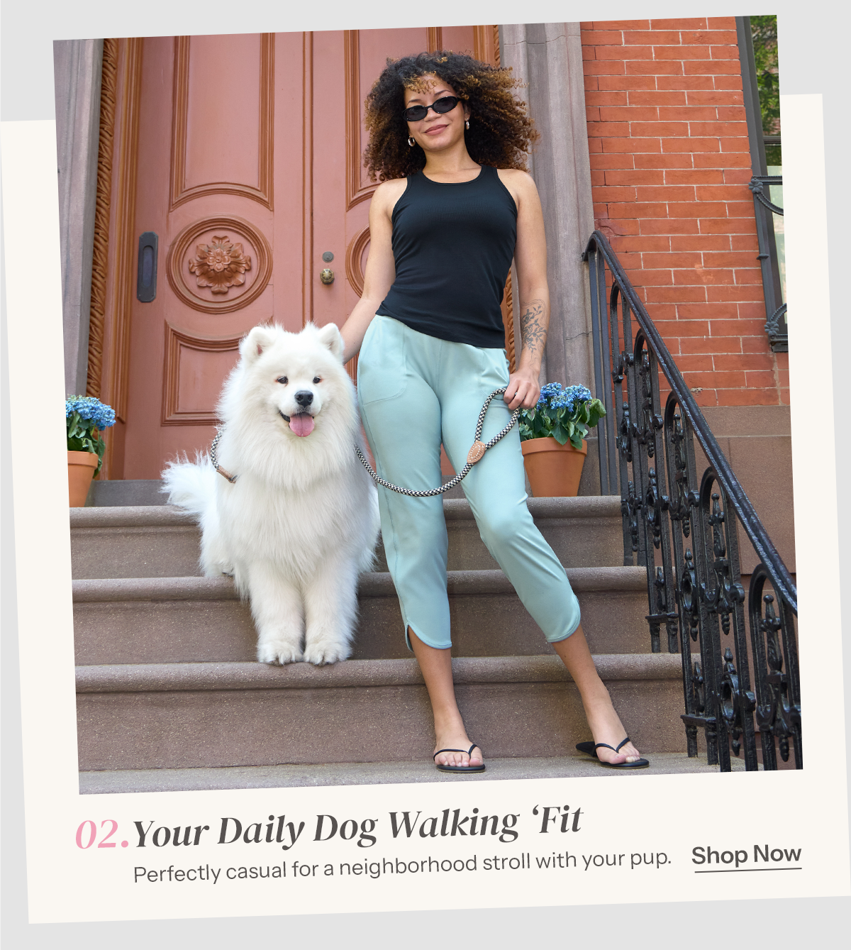 Daily Dog Walking 'Fit