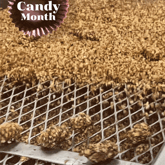 National Candy Month: Animated gif showing a behind-the-scenes look at the making of Toffee-ettes in our candy kitchen