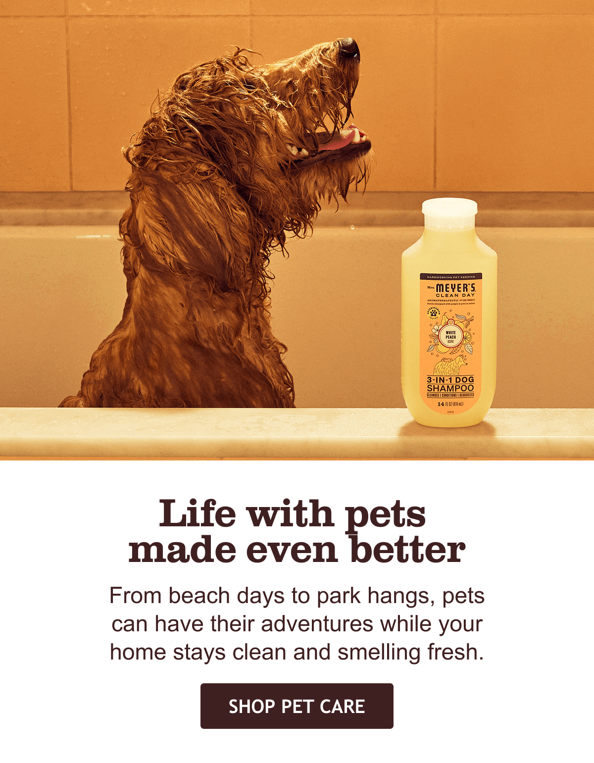 Shop Pet Care