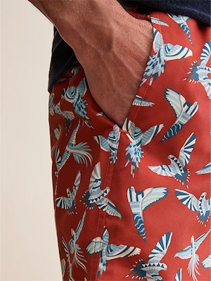 Men's Swim Shorts in Burnt Orange Parakeets of London