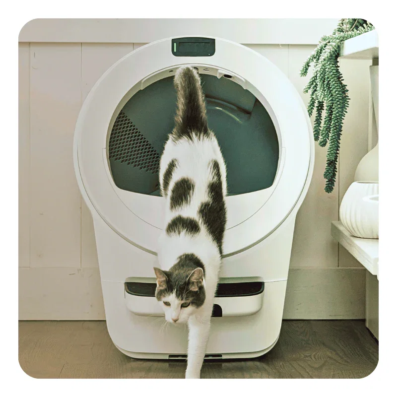 Litter-Robot 5 in white