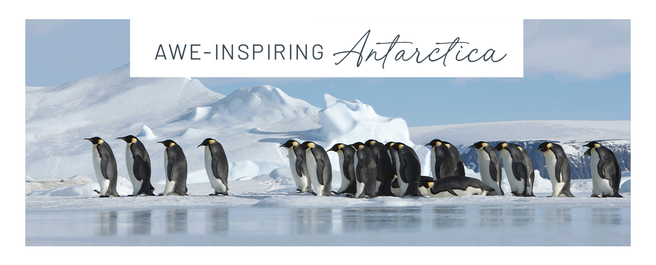 Awe-inspiring Antarctica
