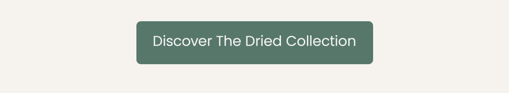 Discover the Dried Collection