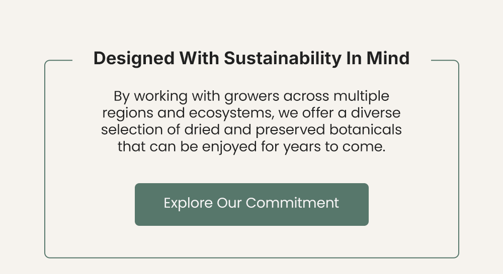 Explore Our Commitment