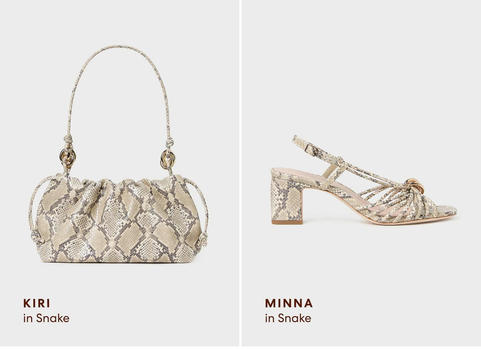 Shop Snakeskin