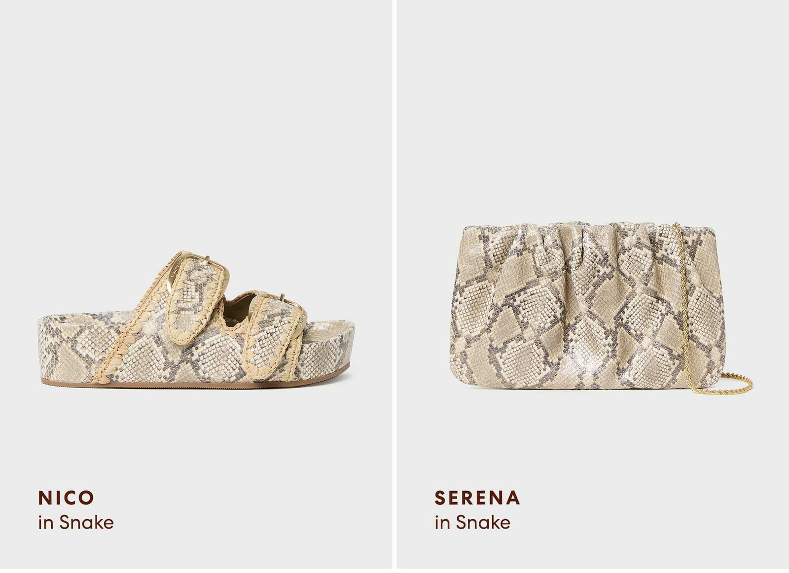 Shop Snakeskin