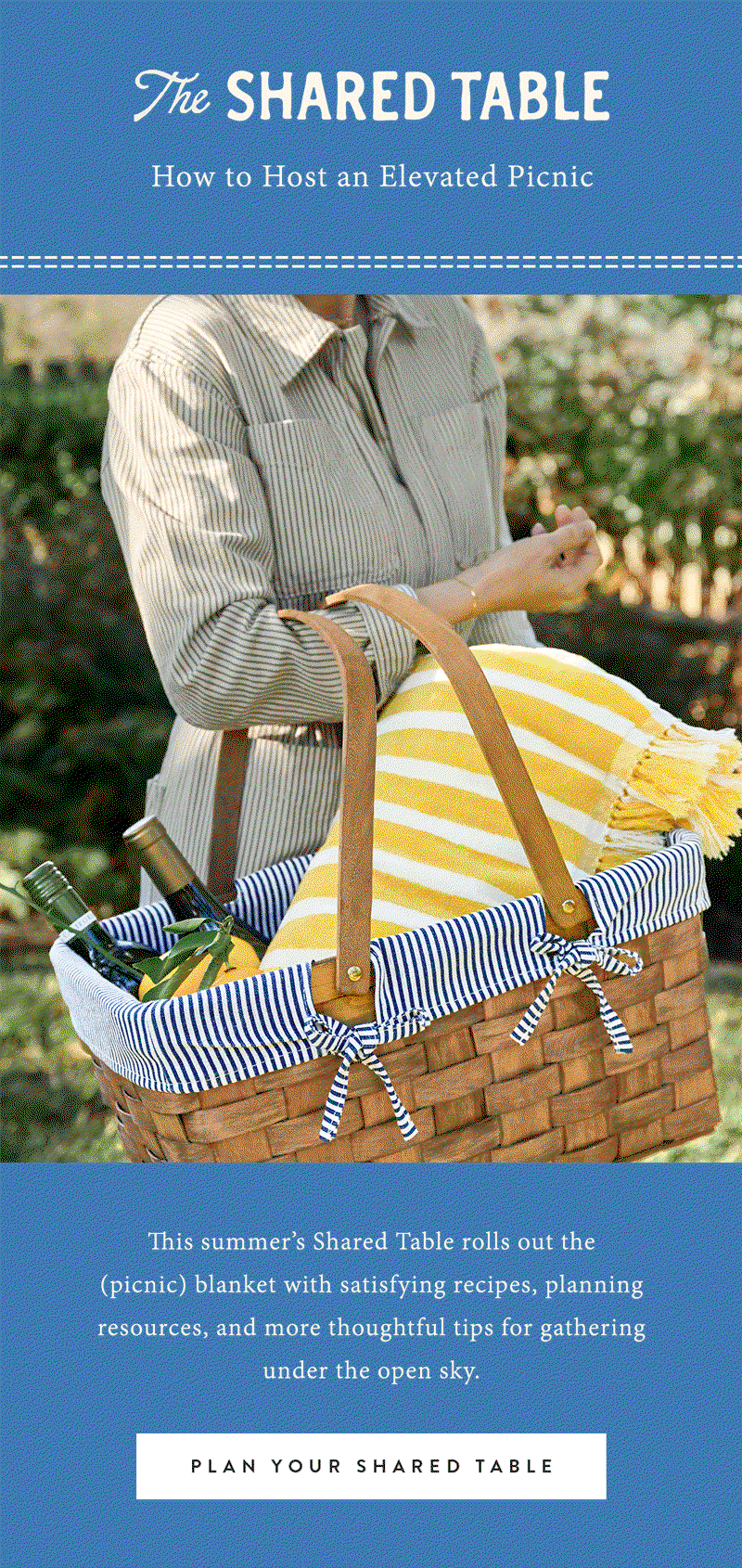 This summer's Shared Table rolls out the (picnic) blanket with satisfying recipe, planning resources, and more...