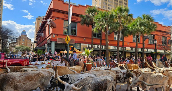 Buckhorn Museum & Texas Ranger Museum Admission in San Antonio