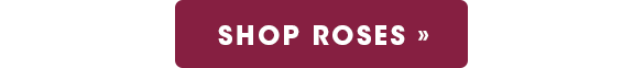 Shop Roses