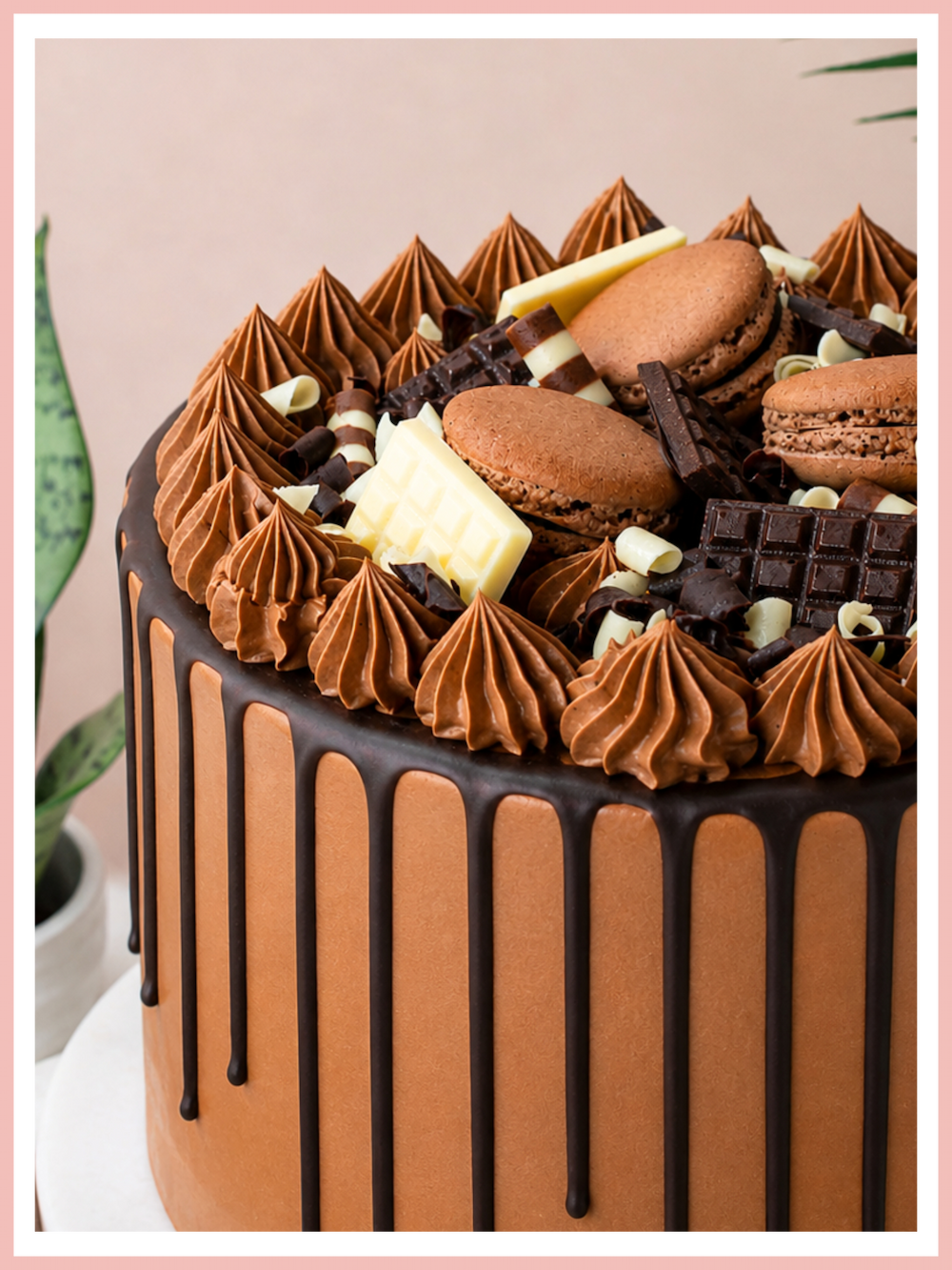 Chocolate Indulgence