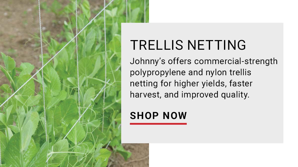 Trellis Netting
