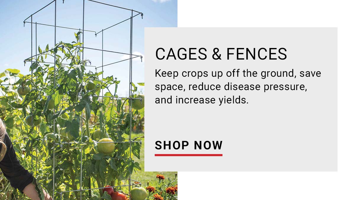 Cages & Fences