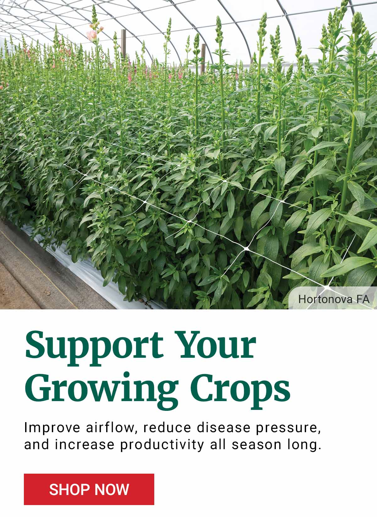 Support Your Growing Crops. Improve airflow, reduce disease pressure, and increase productivity all season long. Shop Now