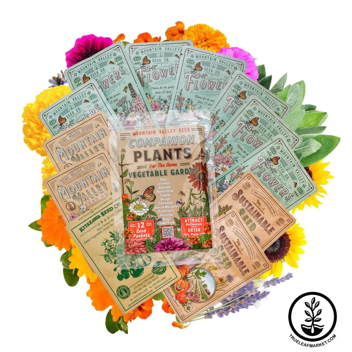 Seed Assortment - Companion Planting