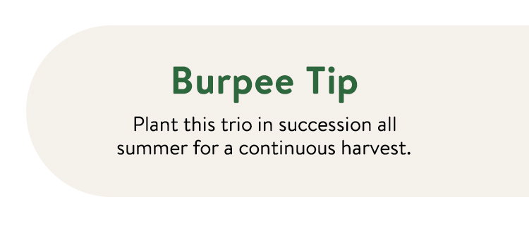 Succession Planting