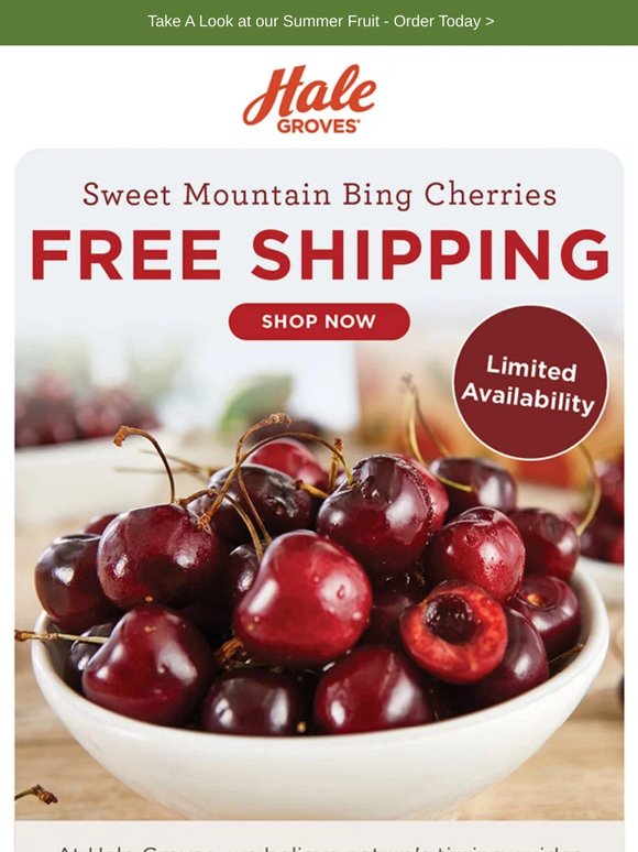 Sweet Mountain Bing Cherries 🍒 SHIP FREE