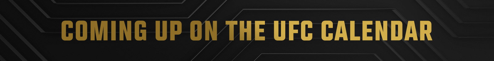 Coming Up On The UFC Calendar