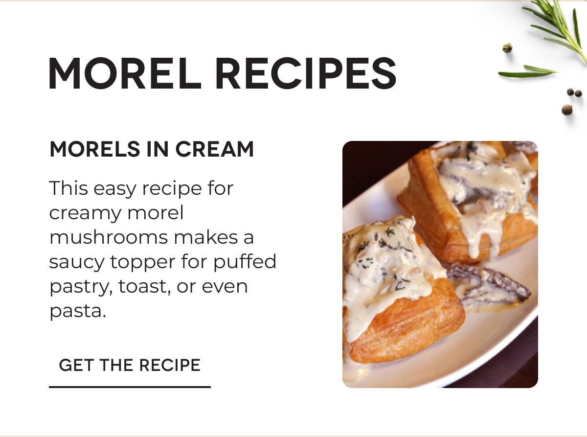 MOREL RECIPES MORELS IN CREAM This easy recipe for creamy morel mushrooms makes a saucy topper for puffed pastry, toast, or even pasta. GET THE RECIPE