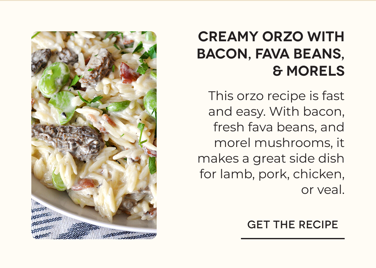 CREAMY ORZO WITH BACON, FAVA BEANS, & MORELS This orzo recipe is fast and easy. With bacon, fresh fava beans, and morel mushrooms, it makes a great side dish for lamb, pork, chicken, or veal. GET THE RECIPE