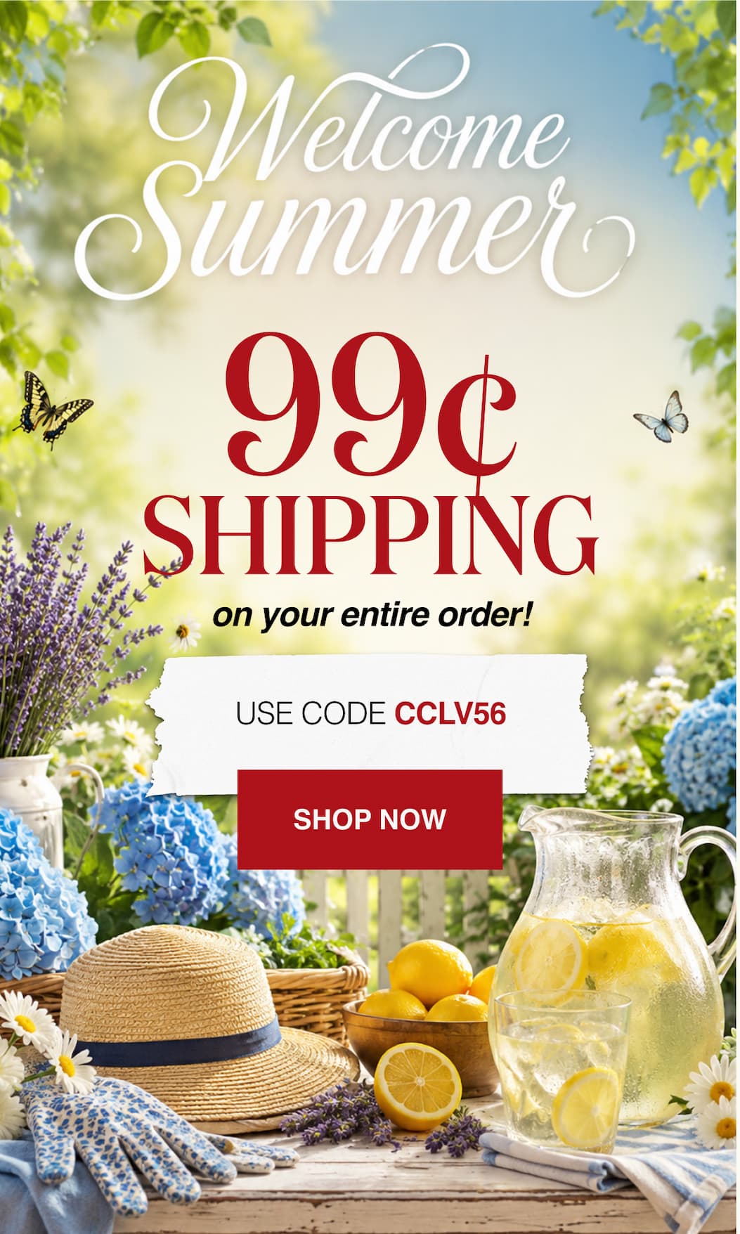 Welcome Summer 99¢ Shipping on your entire order!