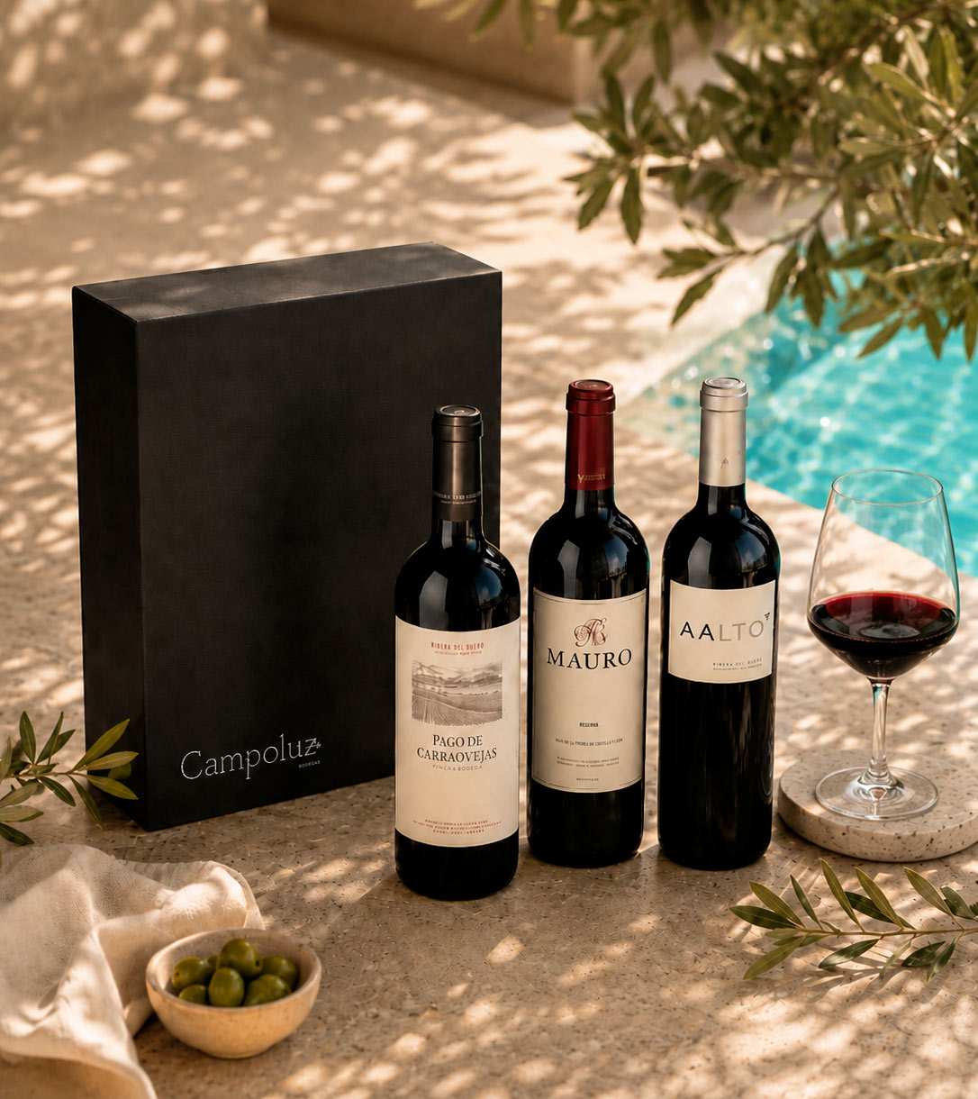 Sunlit poolside red wine gift set: three bottles (Pago de Carraovejas, Mauro, Aalto), glass of red wine, olives and black Campoluz gift box
