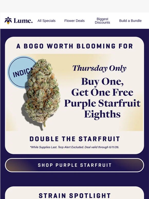 Special BOGO Today Only!